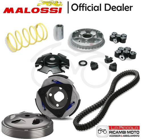 Malossi mhr variator - malossi,